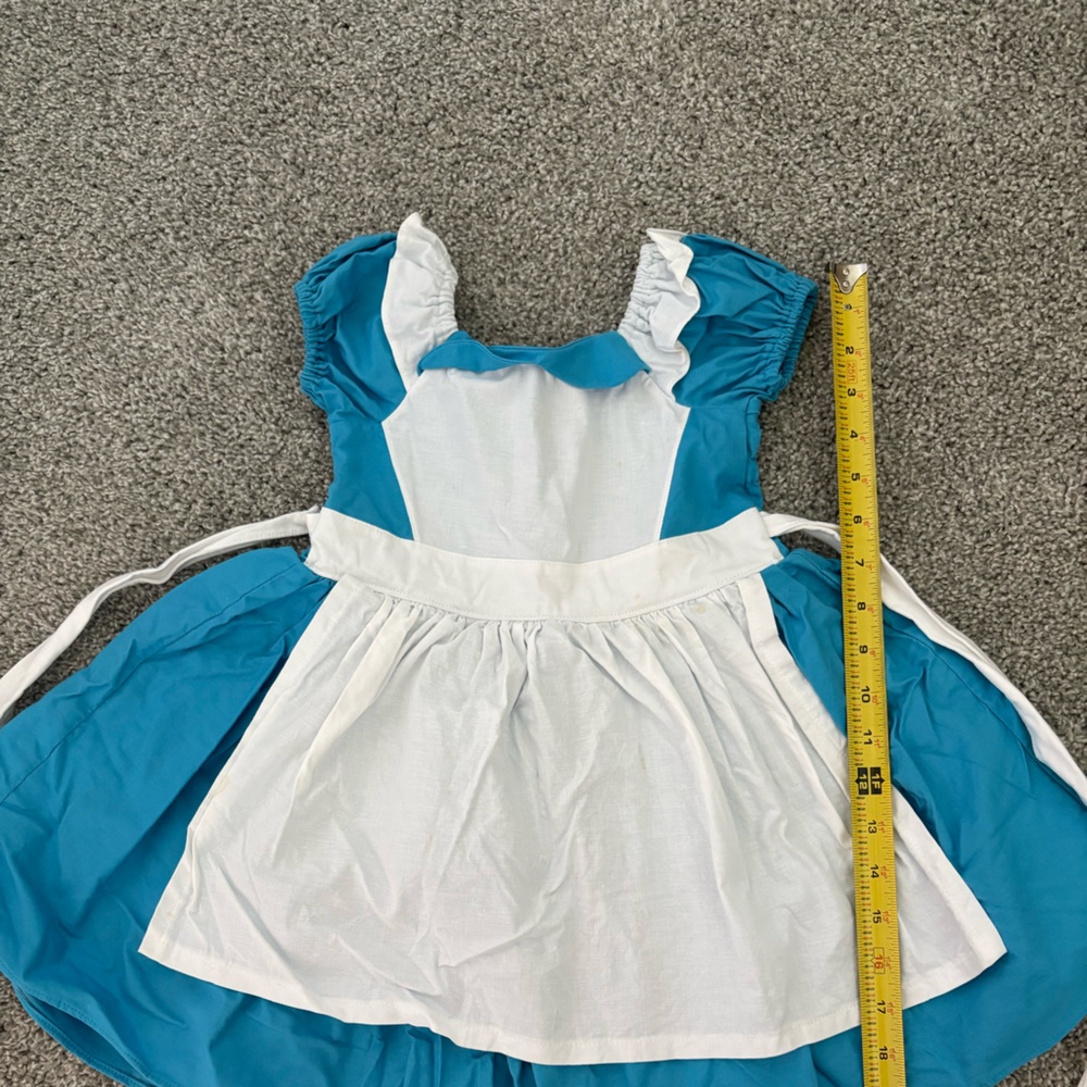Alice in Wonderland Dress costume outfit Disney size 2